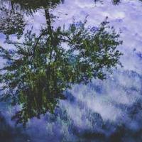 Haruto Takahashi avatar